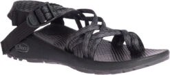 Chaco Women's Z/Cloud X2 12 Chaco Women's Z/Cloud X2 -Footwear Shop chaco womens z cloud x2 limb black jch108002 30908.1647271797
