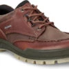 ECCO Men's Track 25 Shoe -Footwear Shop ecco mens track 25 shoe bison 83171452600 56705.1567448226