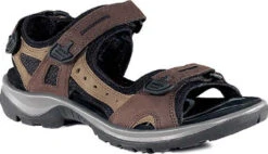 ECCO Women's Yucatan Sandal -Footwear Shop ecco womens yucatan bison 06956352524 04739.1687214227