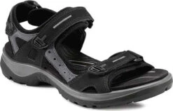 ECCO Women's Yucatan Sandal -Footwear Shop ecco womens yucatan black mole black 06956350034 00437.1687214227