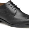 Johnston & Murphy Danridge Wingtip -Footwear Shop johnston murphy mens danridge wingtip black full grain 15 8017 25549.1664812097