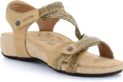 Taos Trulie -Footwear Shop taos women trulie camel tru 16406 cml 79327.1682088053