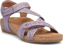 Taos Trulie -Footwear Shop taos womens trulie lavender tru 16406 lav 38548.1682088054