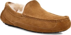 UGG Men's Ascot 15 UGG Men's Ascot -Footwear Shop ugg mens ascot chestnut 1101110 che 97799.1696284874