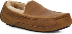 UGG Men's Ascot Leather -Footwear Shop ugg mens ascot tan 1103889 tan 51299.1696284377